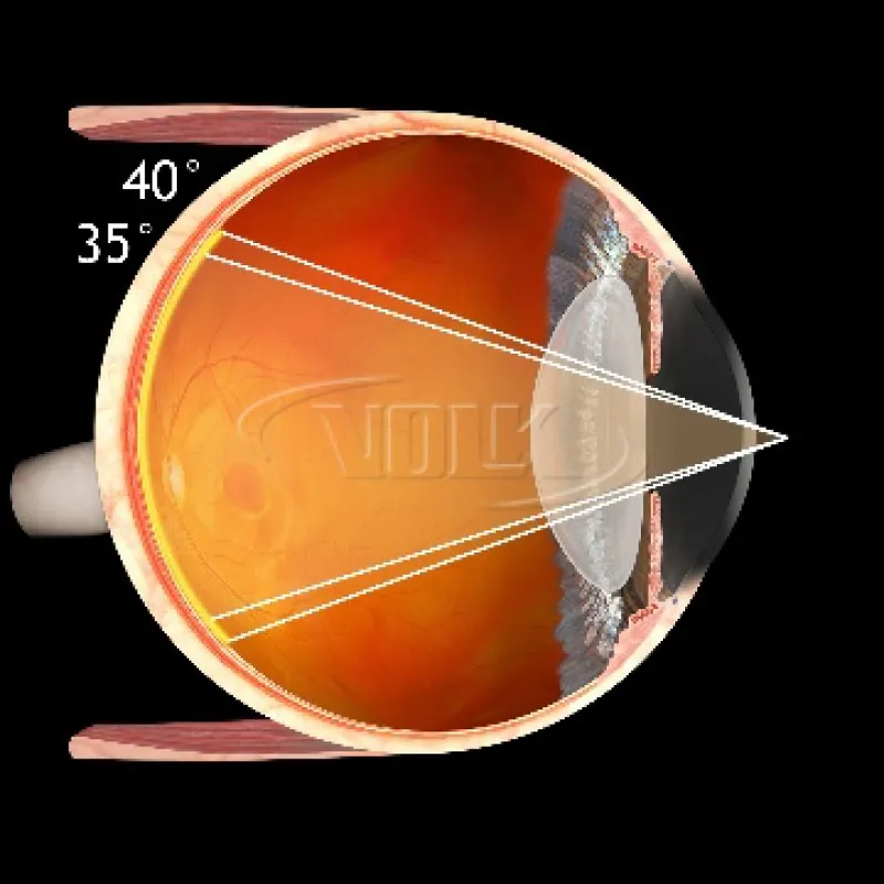 Купити Fundus Україна
