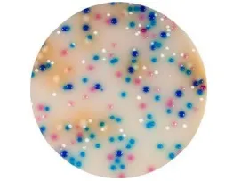 замовити, купити Хромогенне середовище для сечі від Biolife Italiana S.r.l. за низькою ціною в Україні